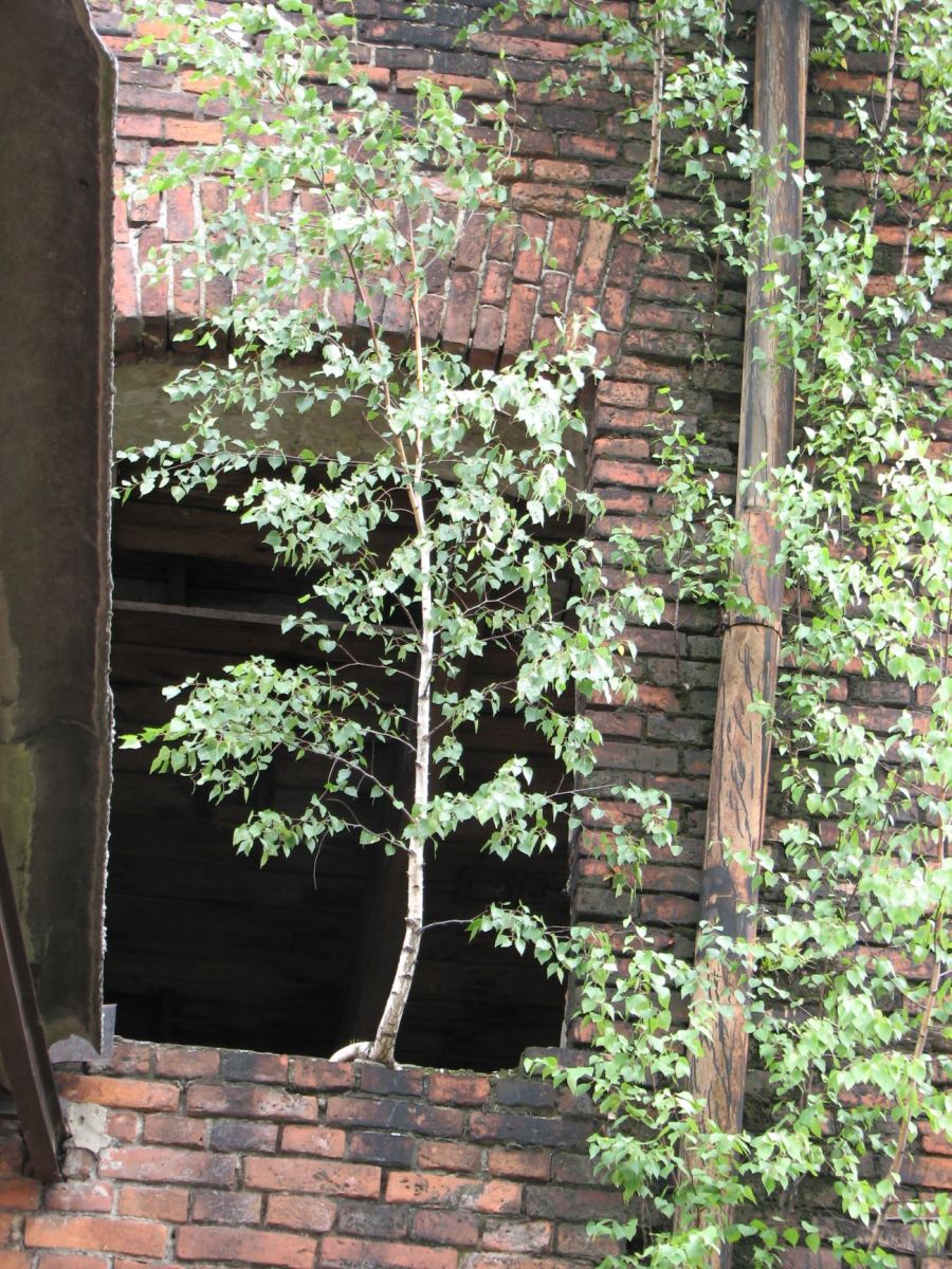 zgierz st istn (9).JPG